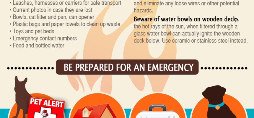 Preparing Your Pets for Emergencies